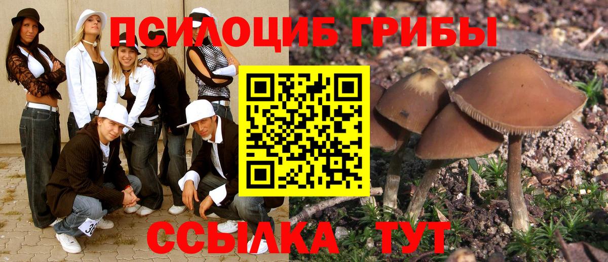 Щёкино  что такое наркотик  Вход с VPN  Псилоцибиновые грибы GOLDEN TEACHER 