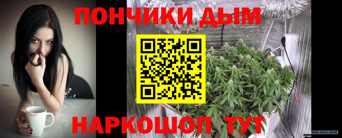 Бошки марихуана семена  Вход с VPN  Щёкино  Каннабис SATIVA & INDICA  Марихуана марихуана 